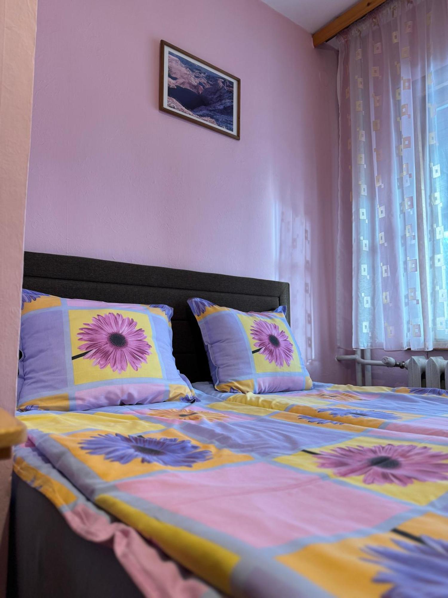 Mama Emiliya Guest House Beli Iskar Esterno foto