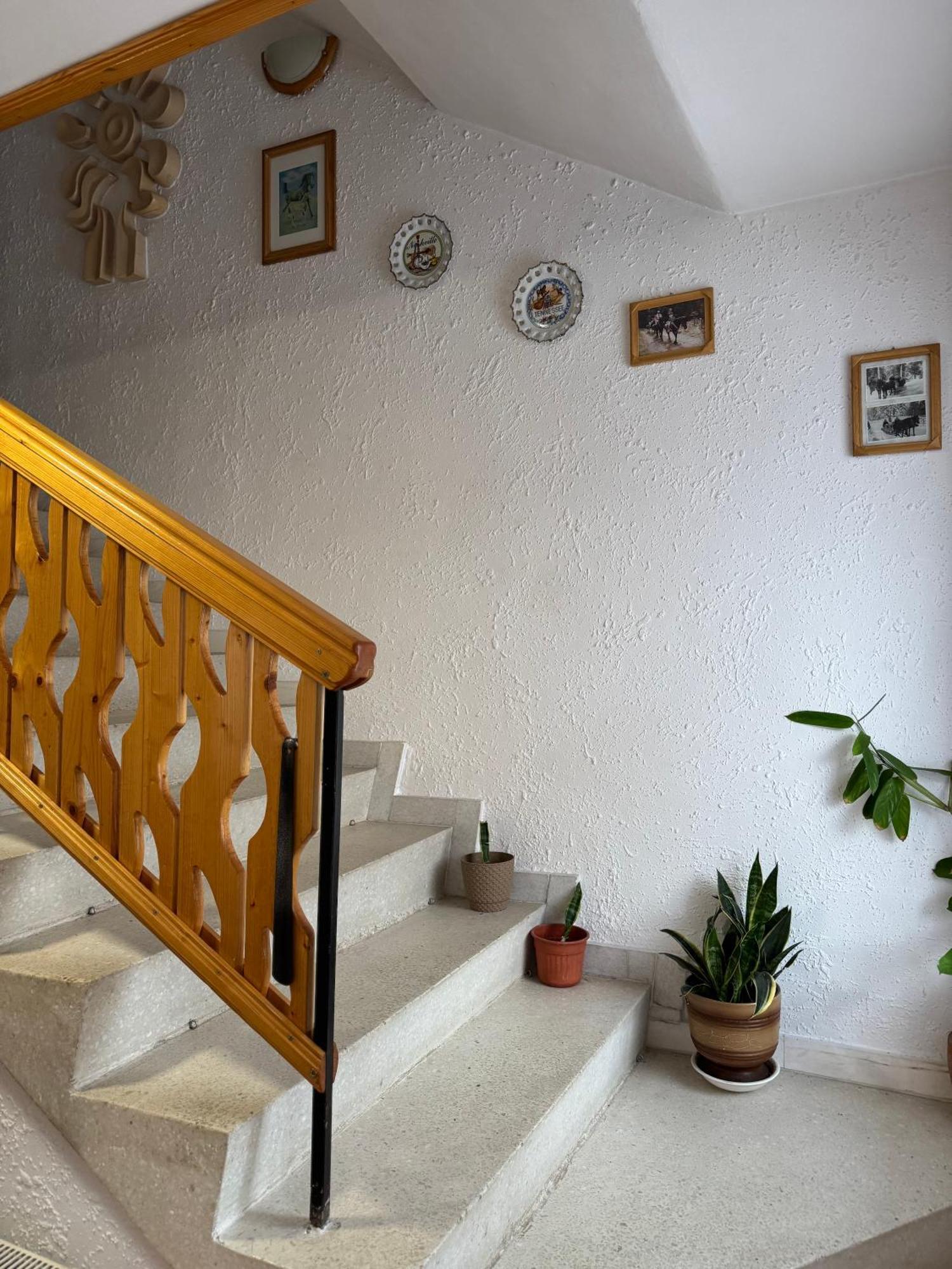 Mama Emiliya Guest House Beli Iskar Esterno foto